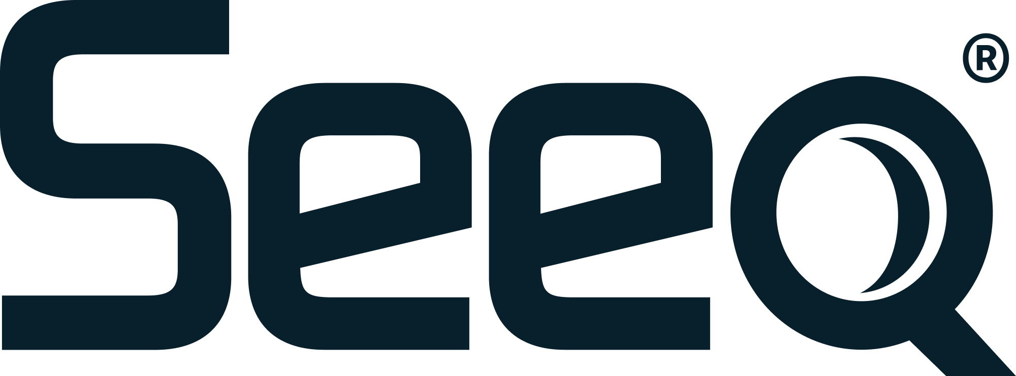 Seeq Logo